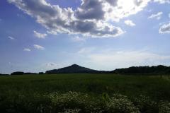 DSC0546-Copy