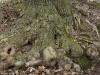 IMG_9323.JPG