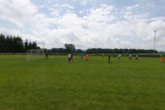 DSC00672-Copy