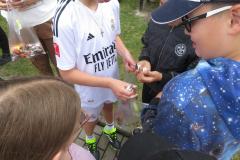 IMG_6713-Copy