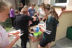 IMG_6925-Copy