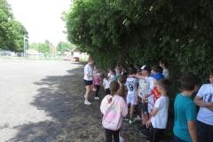 IMG_7023-Copy