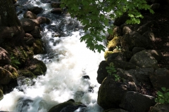 MG_9255