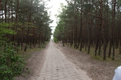 MG_9495