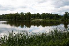 MG_0968
