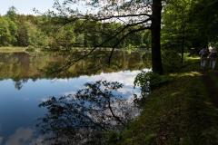 MG_0987