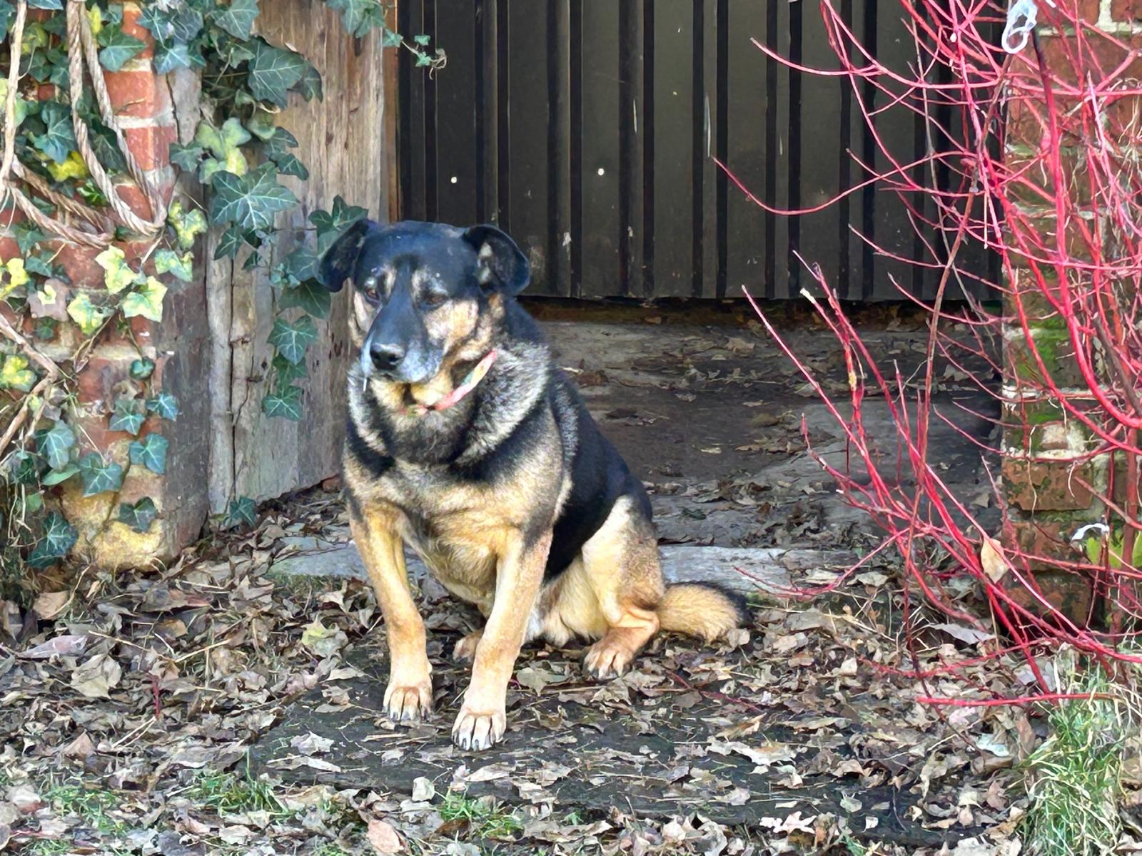 Szkoła Podstawowa         im. W.Puchalskiego w Proboszczowie