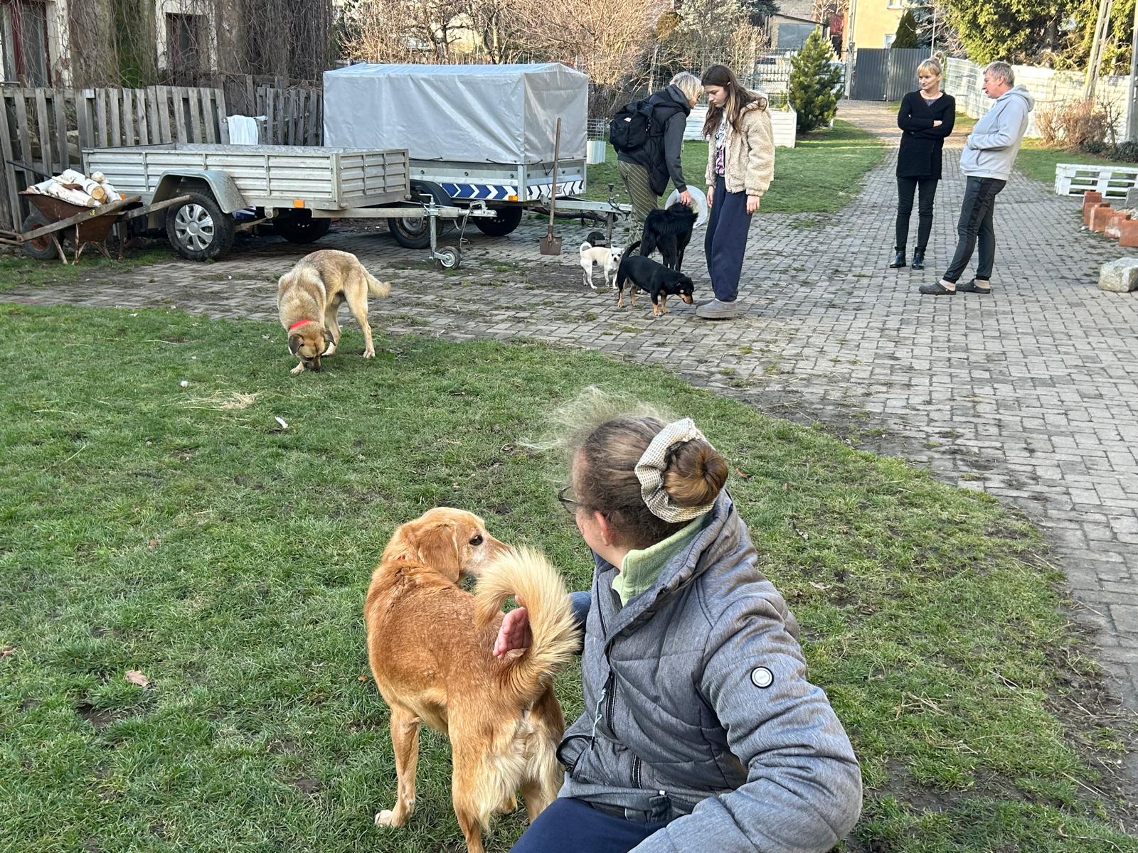 Szkoła Podstawowa         im. W.Puchalskiego w Proboszczowie