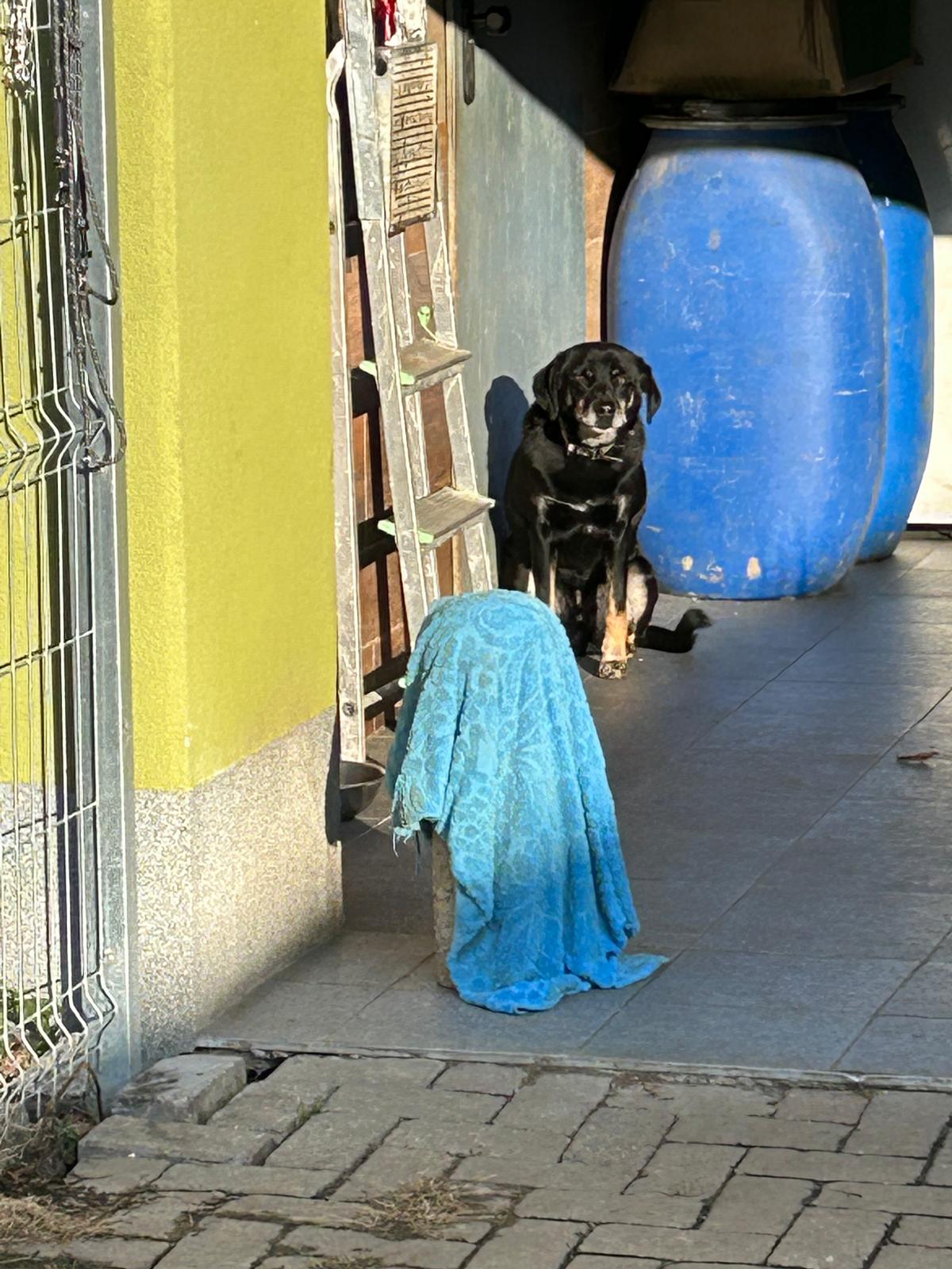 Szkoła Podstawowa         im. W.Puchalskiego w Proboszczowie