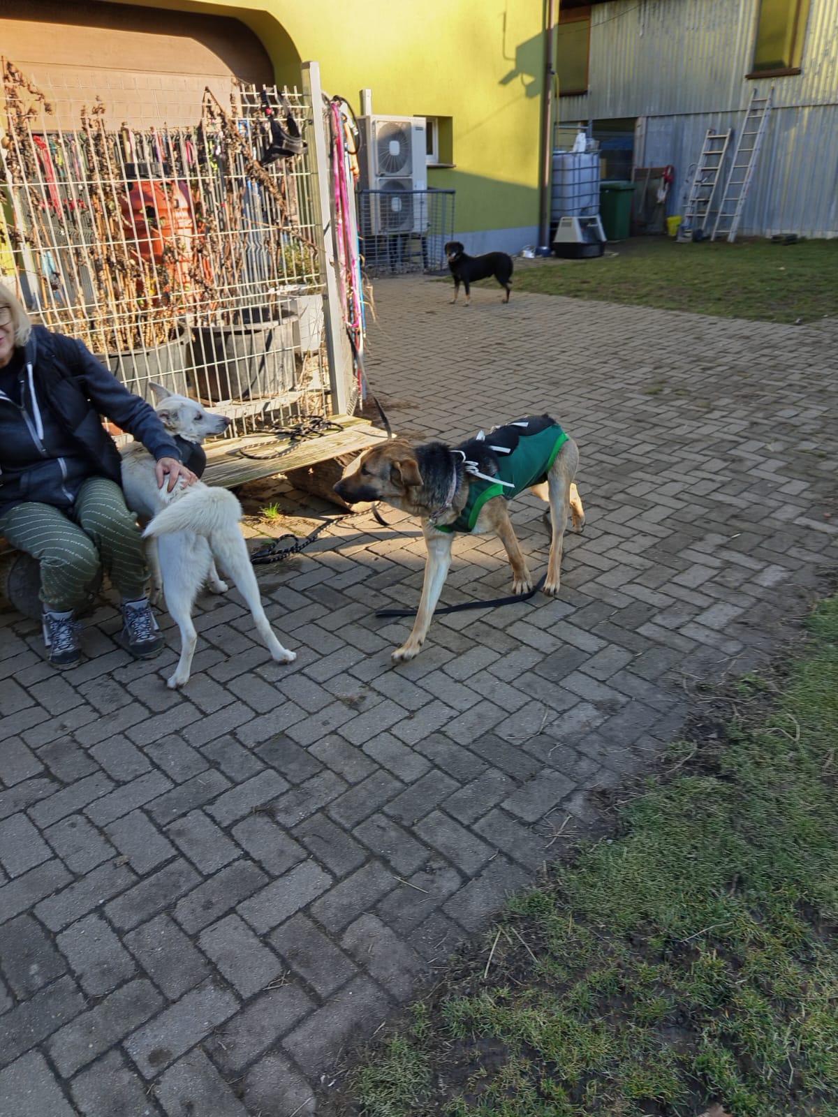 Szkoła Podstawowa         im. W.Puchalskiego w Proboszczowie