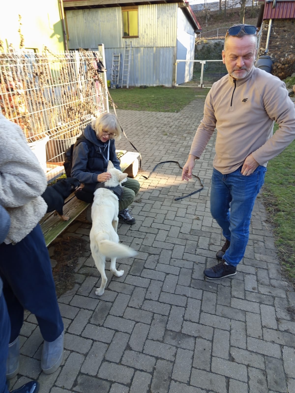 Szkoła Podstawowa         im. W.Puchalskiego w Proboszczowie