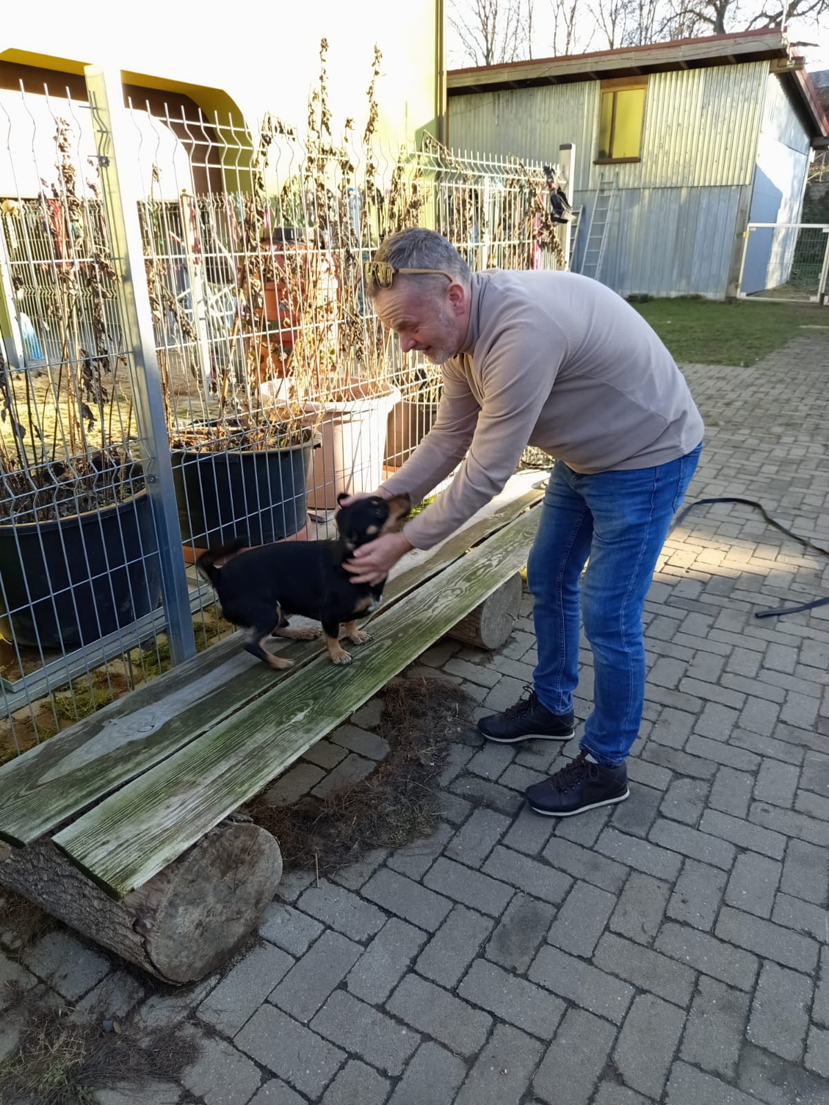 Szkoła Podstawowa         im. W.Puchalskiego w Proboszczowie