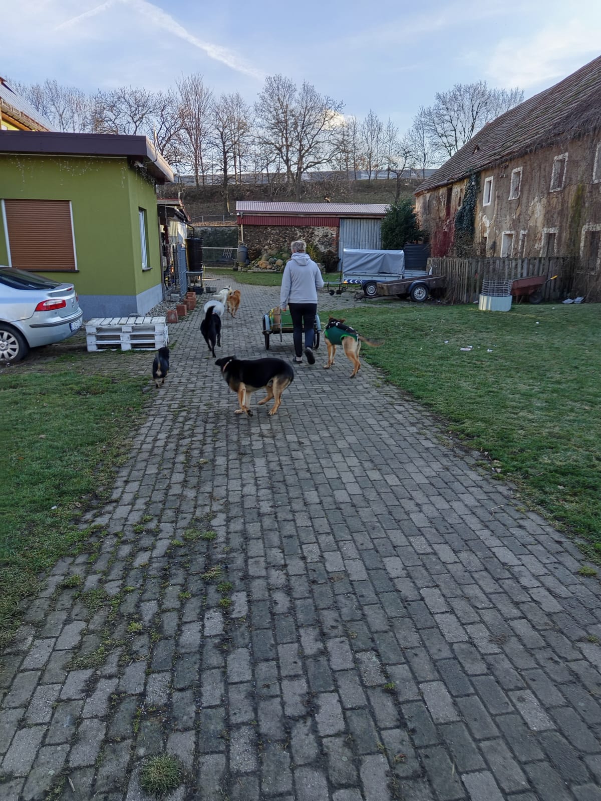 Szkoła Podstawowa         im. W.Puchalskiego w Proboszczowie