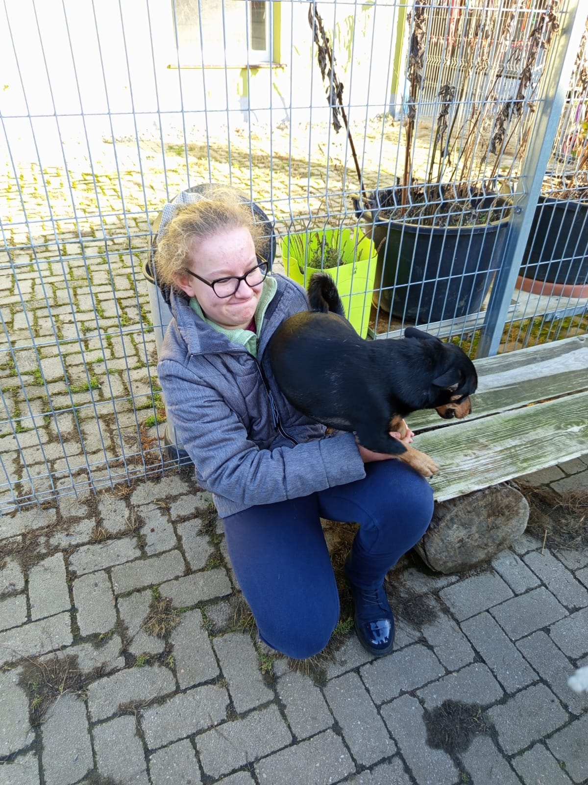 Szkoła Podstawowa         im. W.Puchalskiego w Proboszczowie