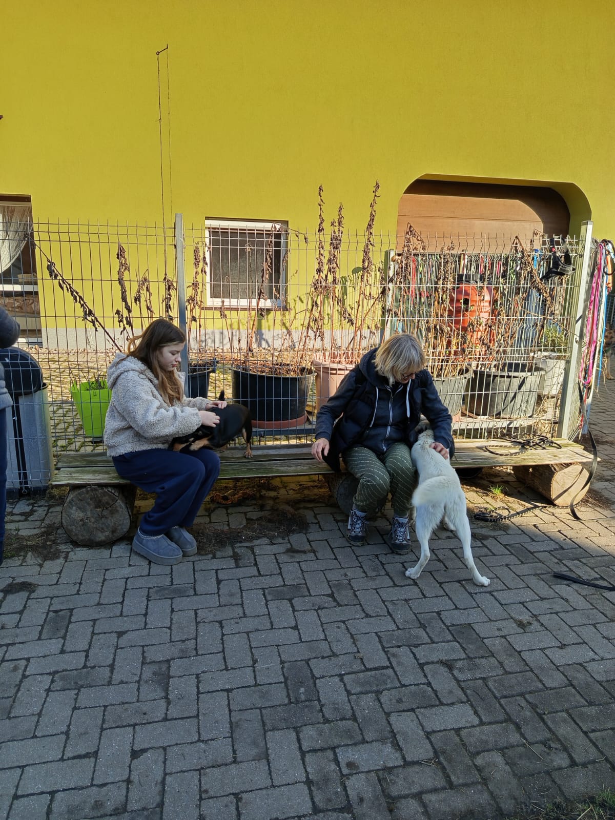 Szkoła Podstawowa         im. W.Puchalskiego w Proboszczowie