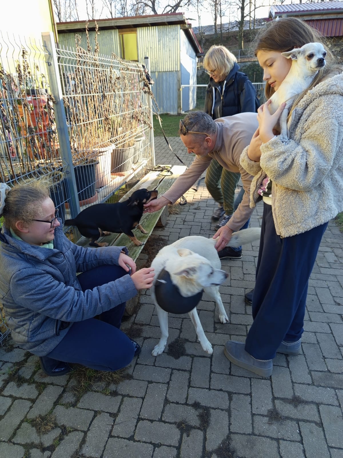 Szkoła Podstawowa         im. W.Puchalskiego w Proboszczowie