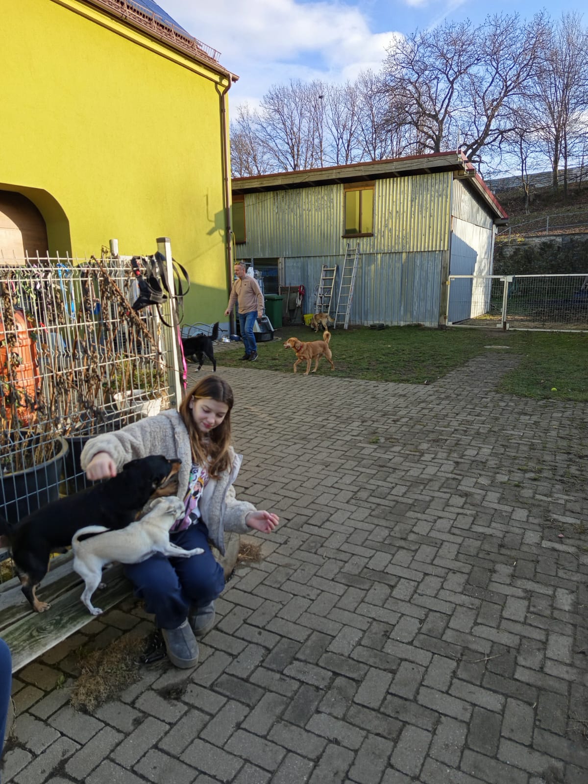 Szkoła Podstawowa         im. W.Puchalskiego w Proboszczowie