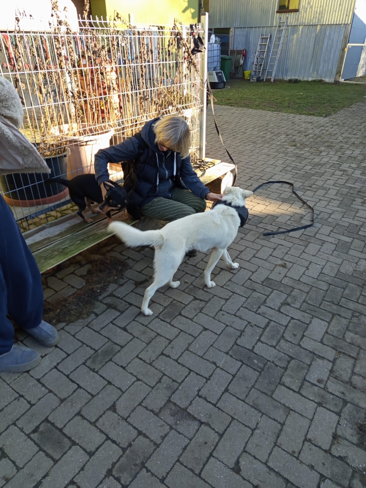 Szkoła Podstawowa         im. W.Puchalskiego w Proboszczowie