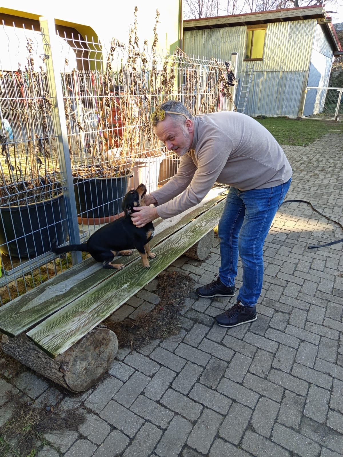 Szkoła Podstawowa         im. W.Puchalskiego w Proboszczowie