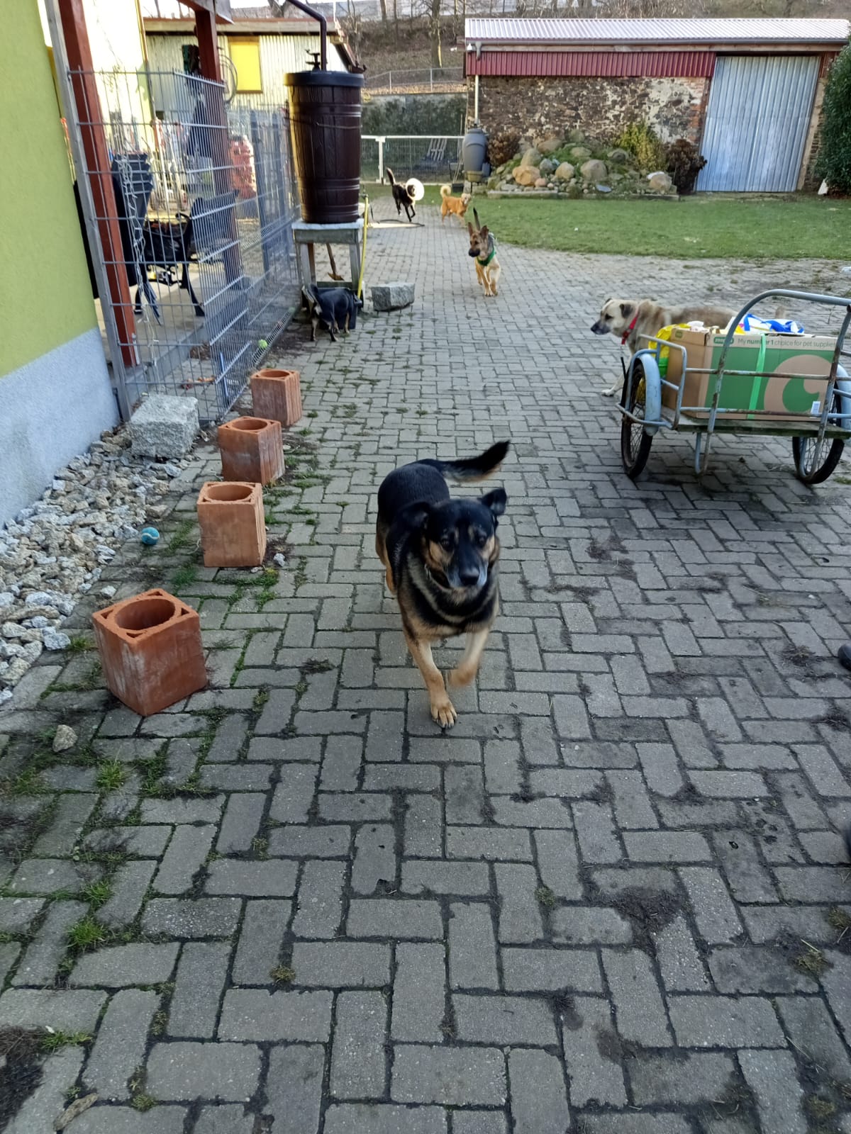 Szkoła Podstawowa         im. W.Puchalskiego w Proboszczowie