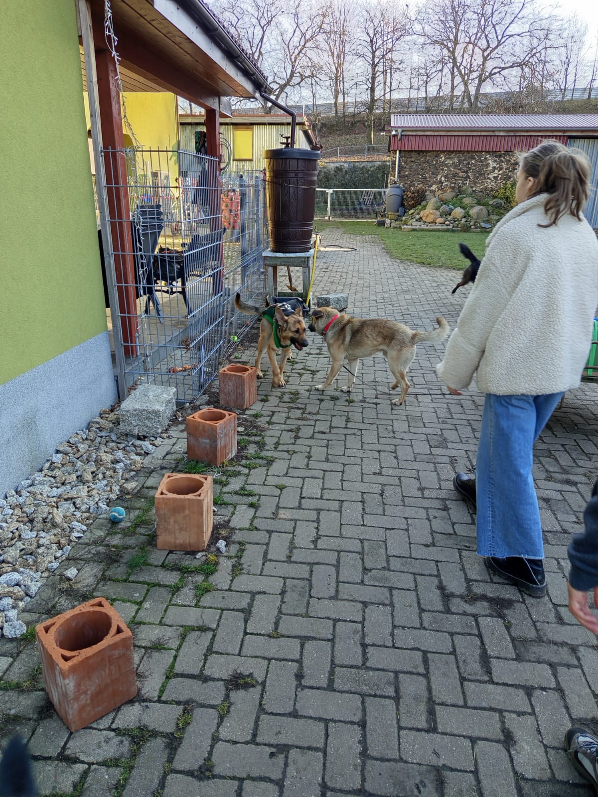 Szkoła Podstawowa         im. W.Puchalskiego w Proboszczowie