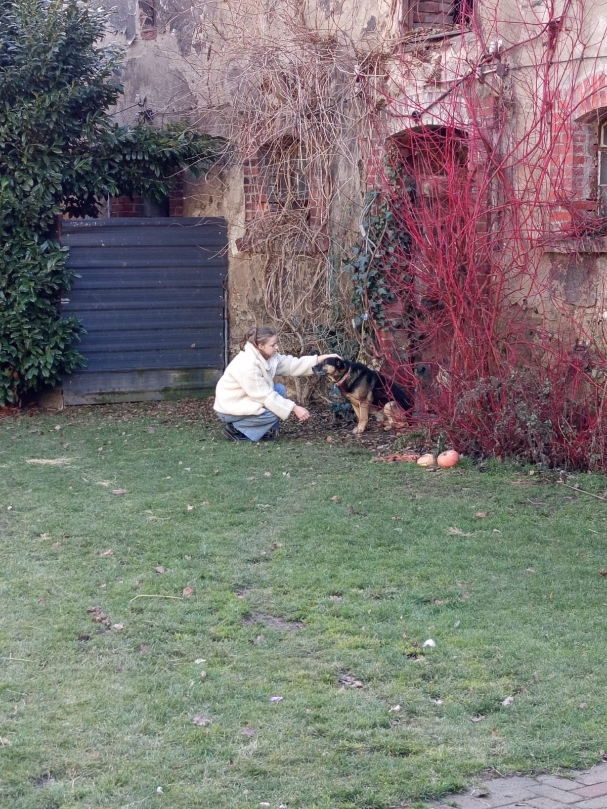 Szkoła Podstawowa         im. W.Puchalskiego w Proboszczowie