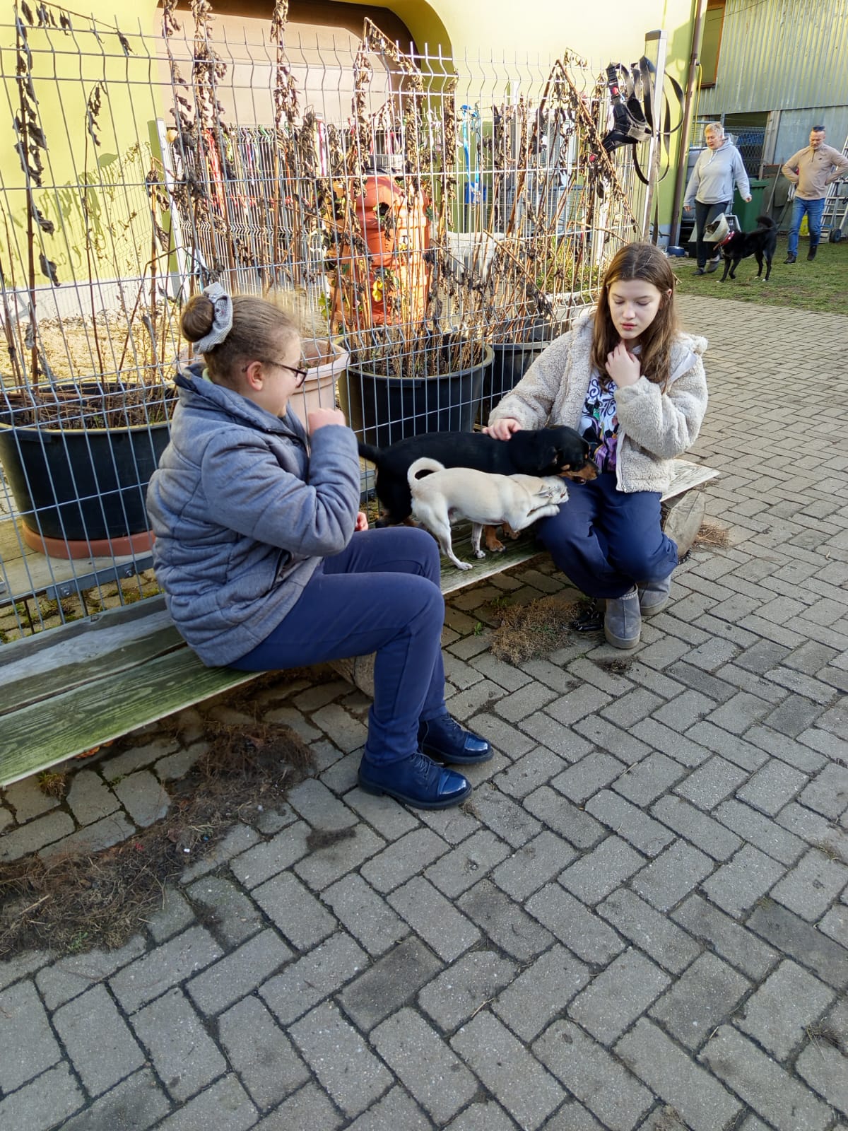 Szkoła Podstawowa         im. W.Puchalskiego w Proboszczowie