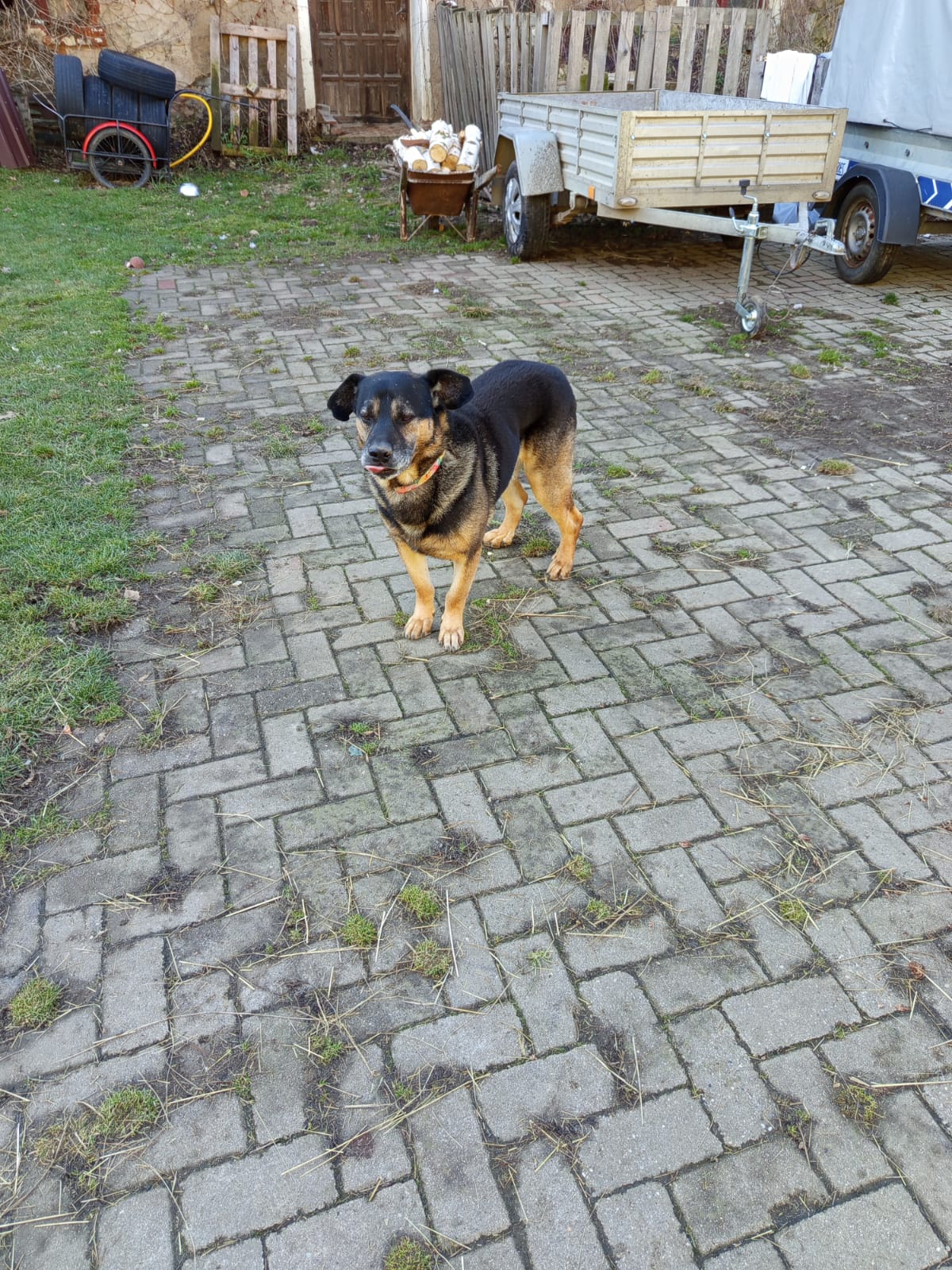 Szkoła Podstawowa         im. W.Puchalskiego w Proboszczowie