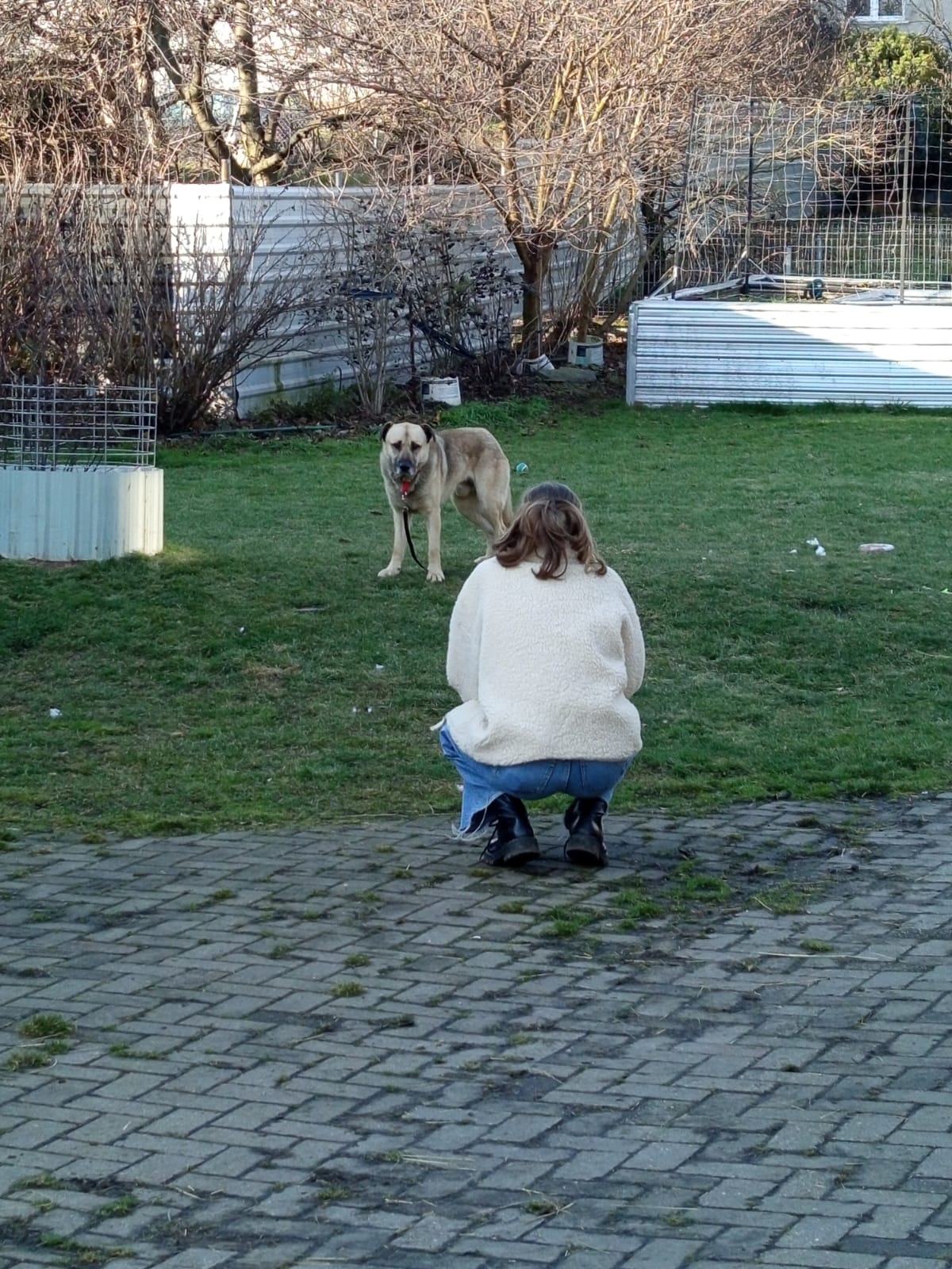 Szkoła Podstawowa         im. W.Puchalskiego w Proboszczowie
