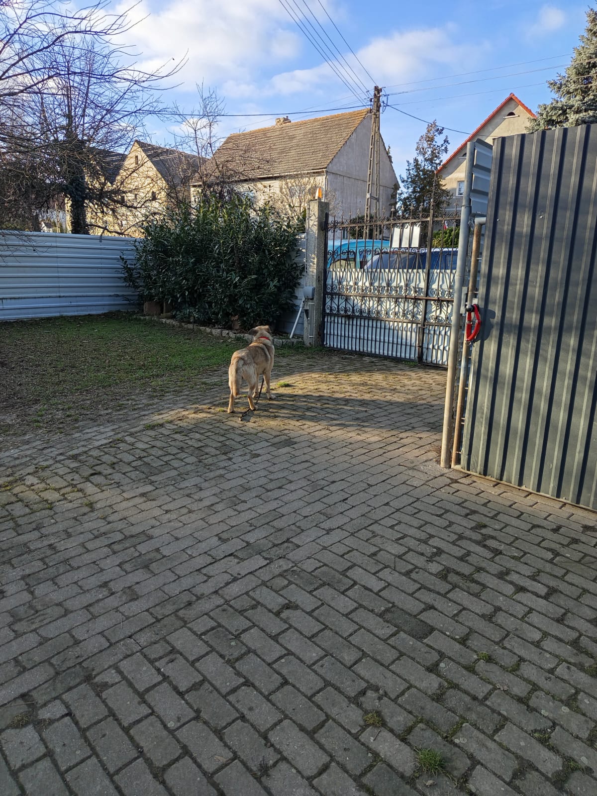 Szkoła Podstawowa         im. W.Puchalskiego w Proboszczowie