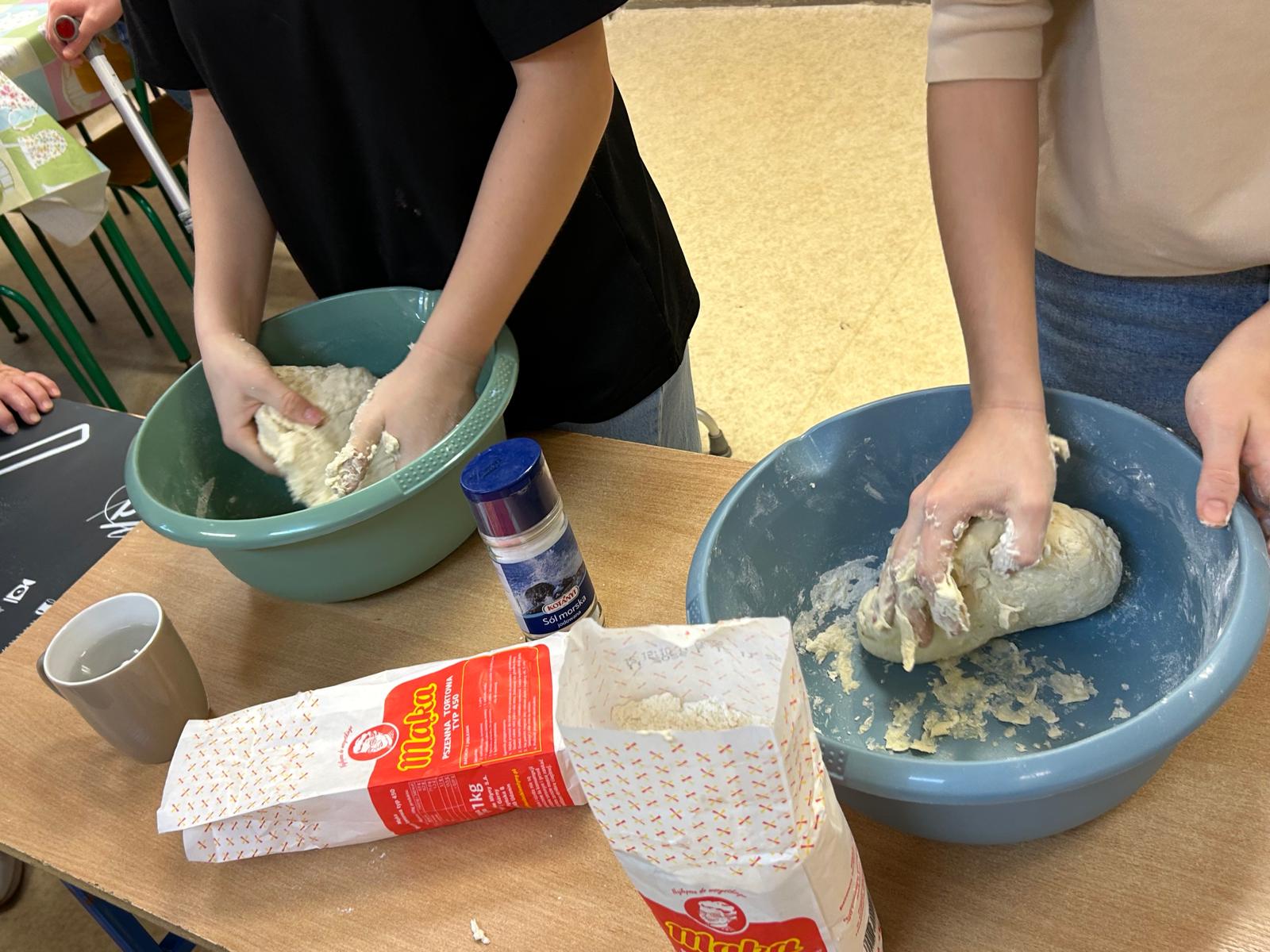 Szkoła Podstawowa         im. W.Puchalskiego w Proboszczowie