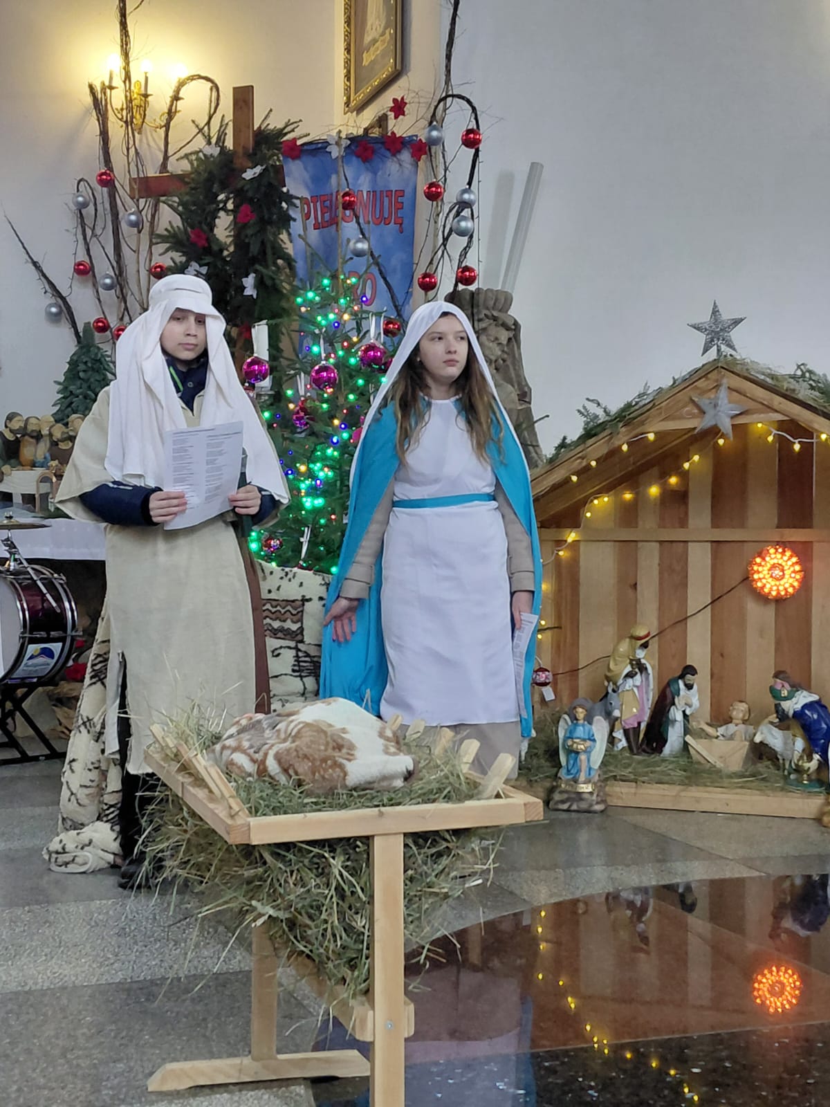 Szkoła Podstawowa         im. W.Puchalskiego w Proboszczowie