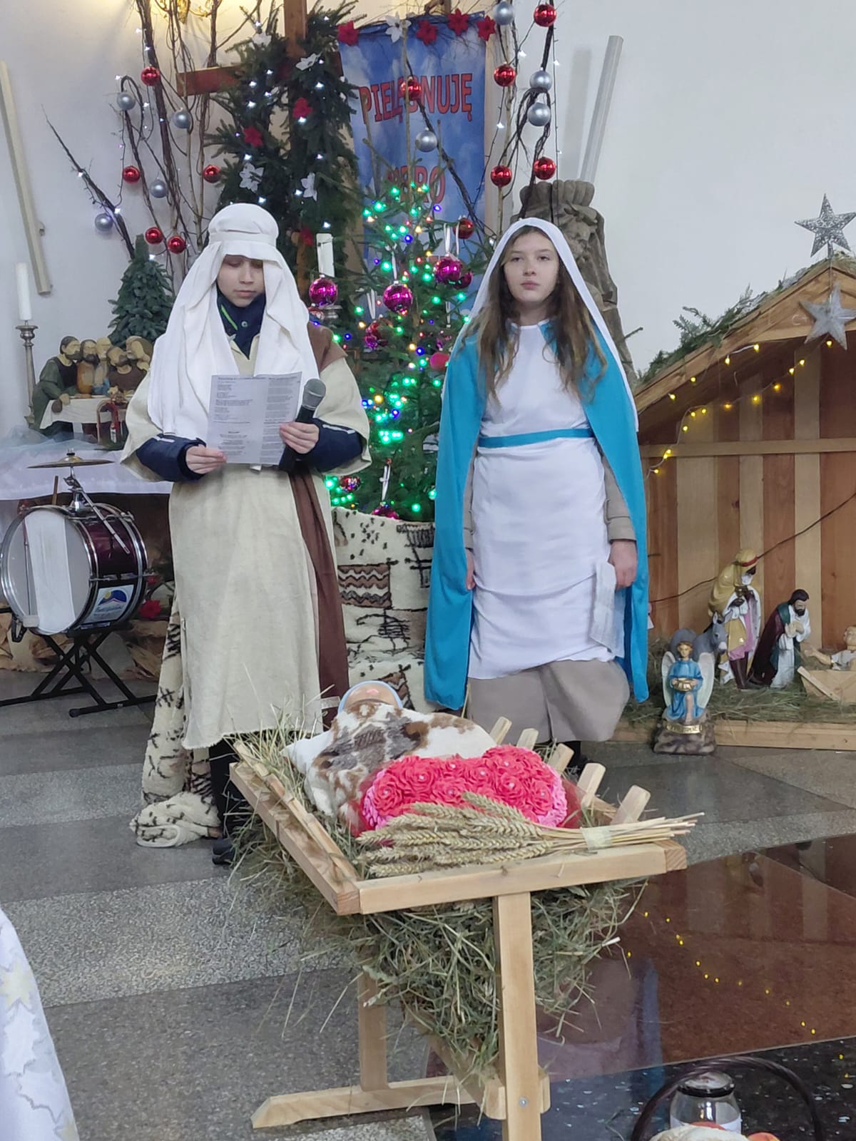 Szkoła Podstawowa         im. W.Puchalskiego w Proboszczowie