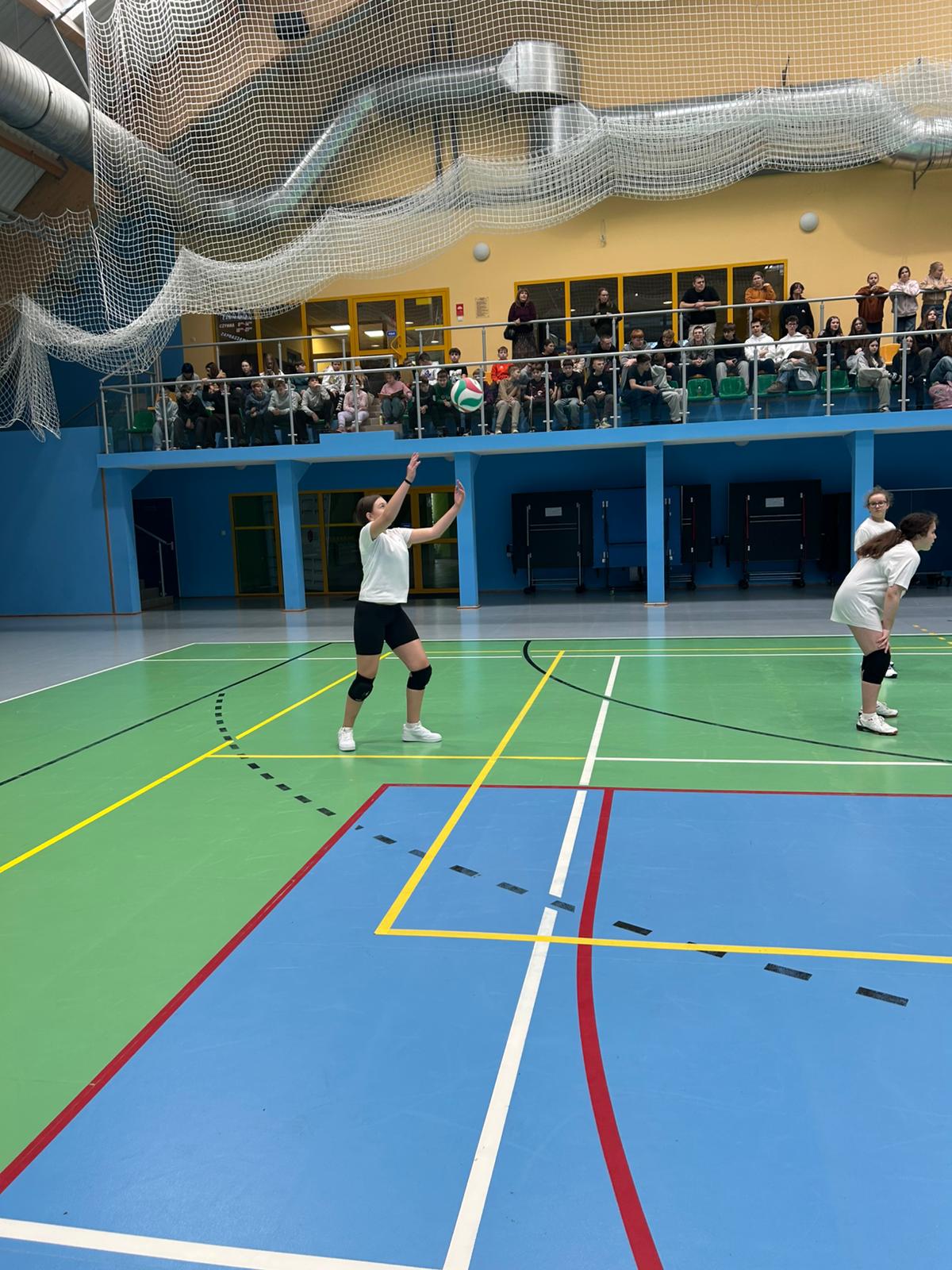 Szkoła Podstawowa         im. W.Puchalskiego w Proboszczowie