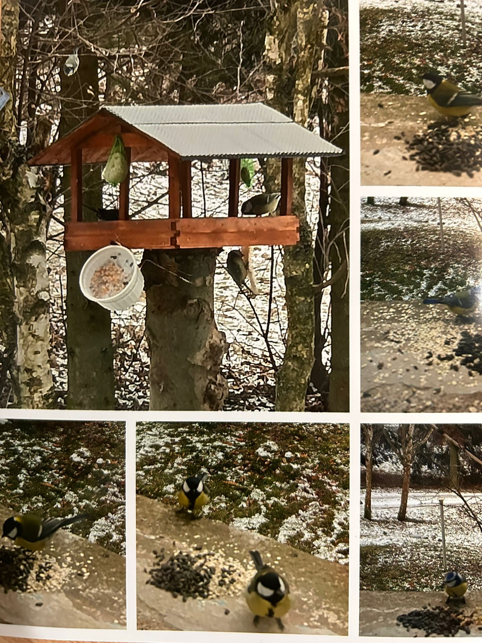 Szkoła Podstawowa         im. W.Puchalskiego w Proboszczowie